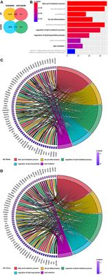 The Downregulated Lipo-Related Gene Expression Pattern in Keloid Indicates Fat Graft Is a Potential Clinical Option for Keloid